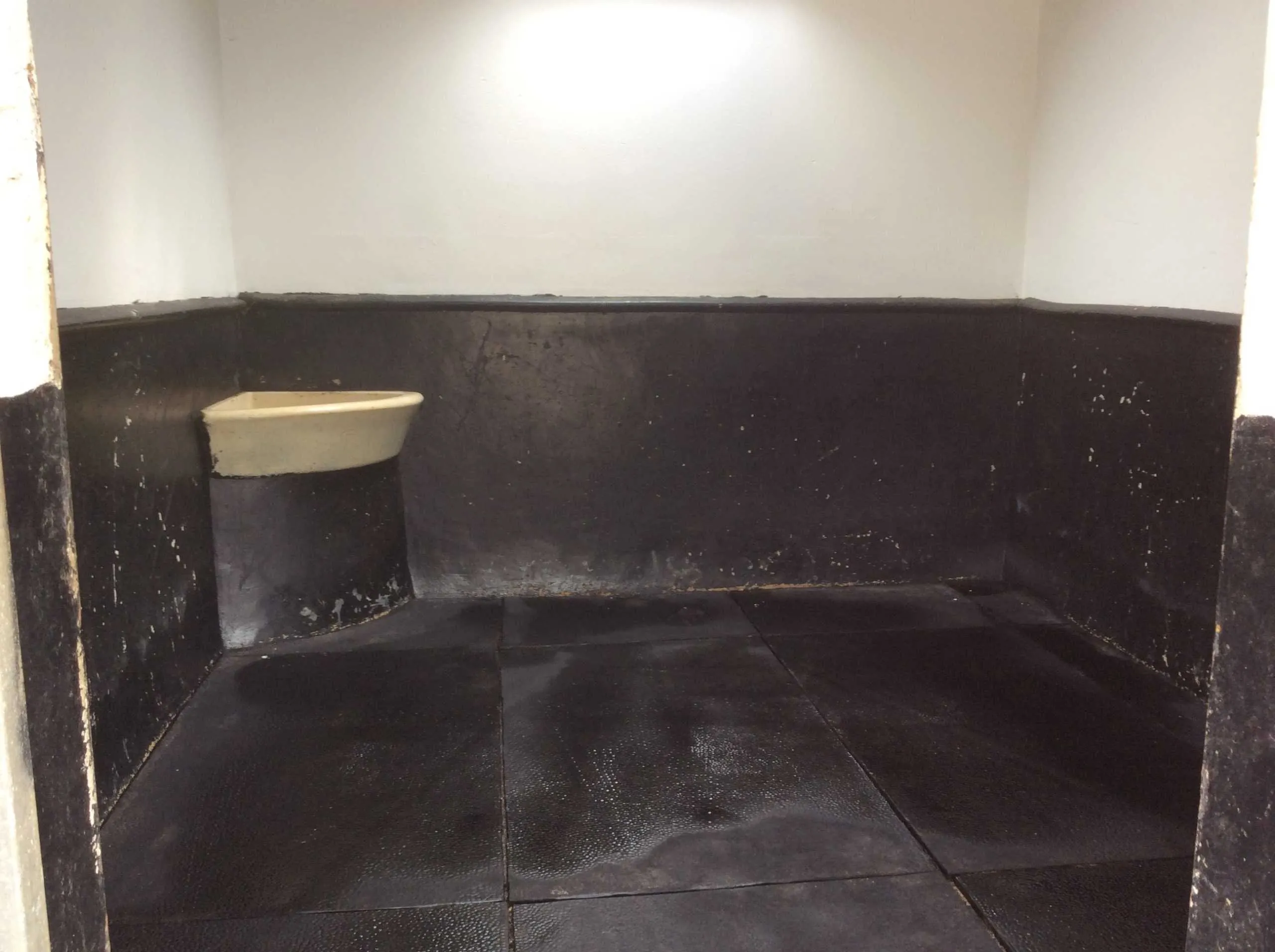 Horse Stable Cleaning After