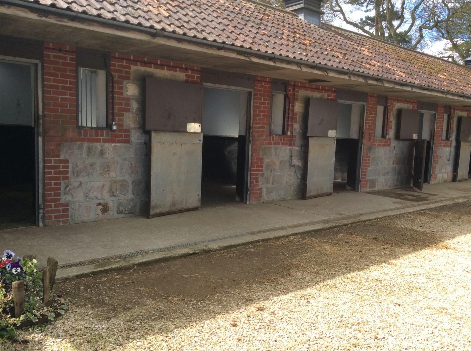 Horse Stables