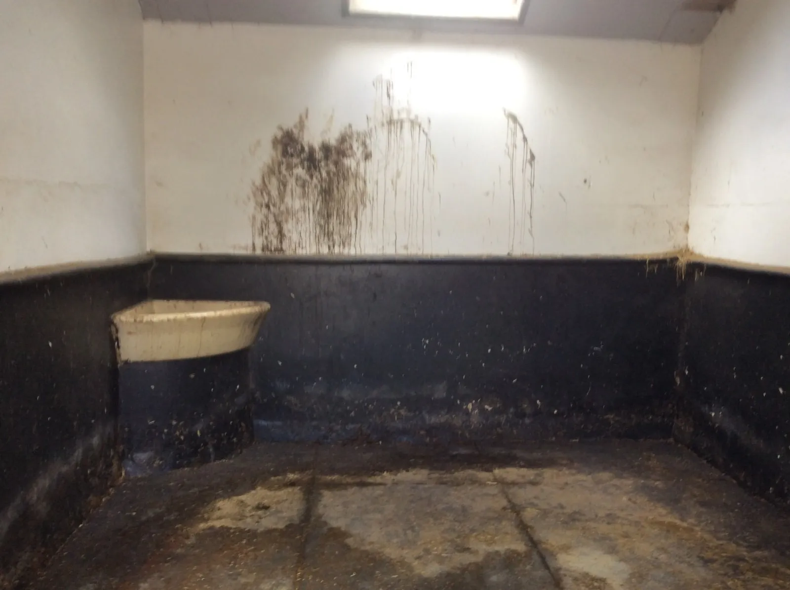 Horse Stable Cleaning Before