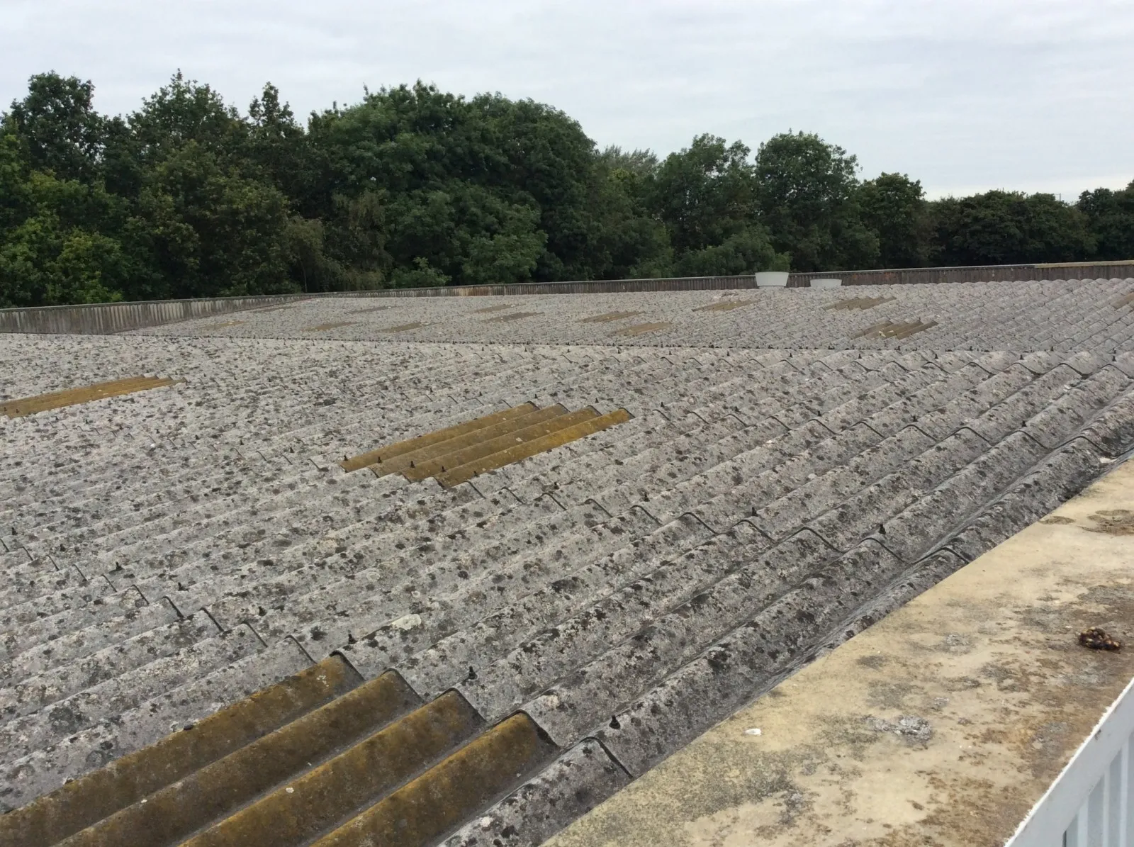 Roof Sky-lights Before 1