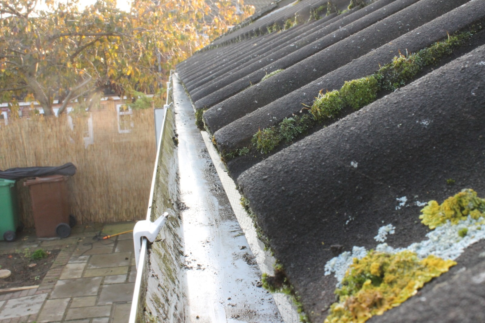 Gutter Cleaning